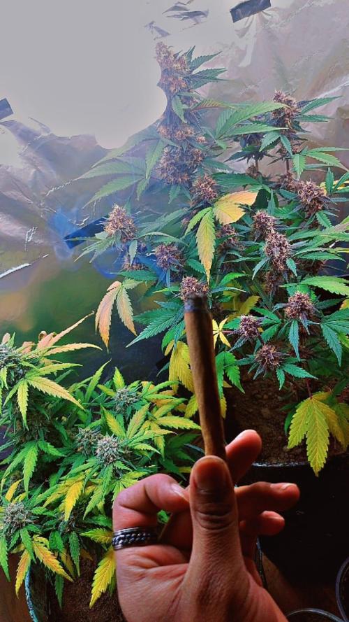 Sweet. Week 8