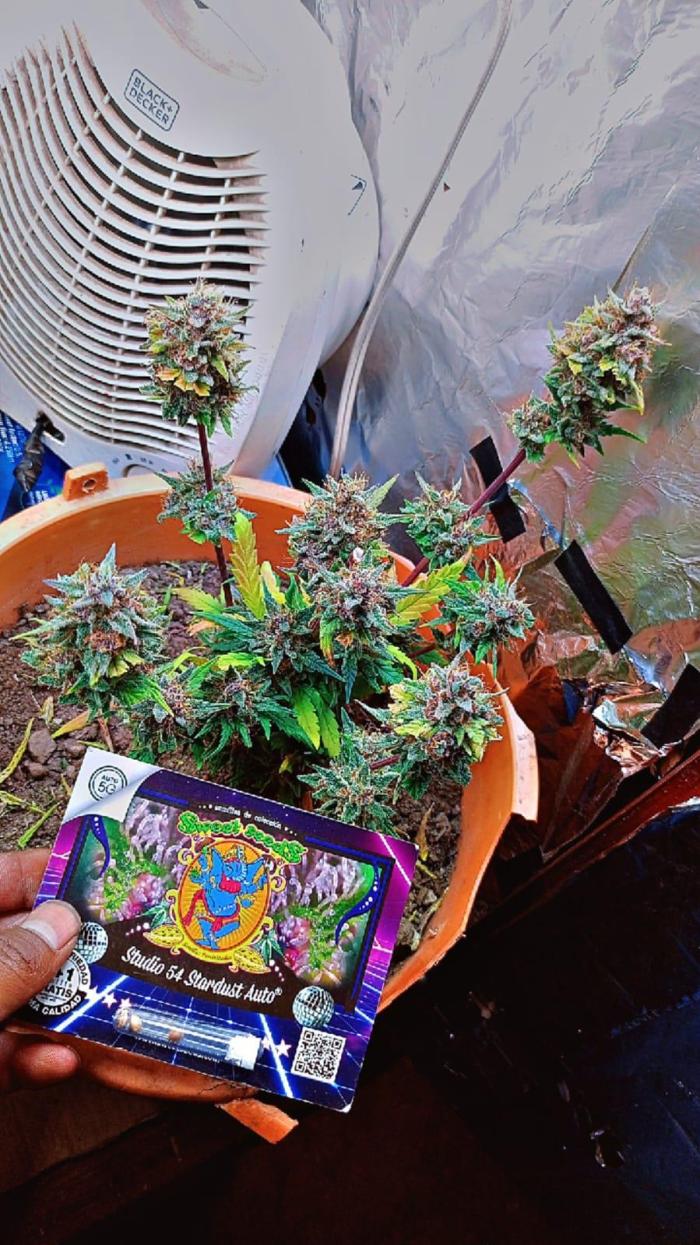 Sweet. Week 11