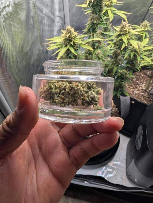 First try at auto outdoors. Week 10