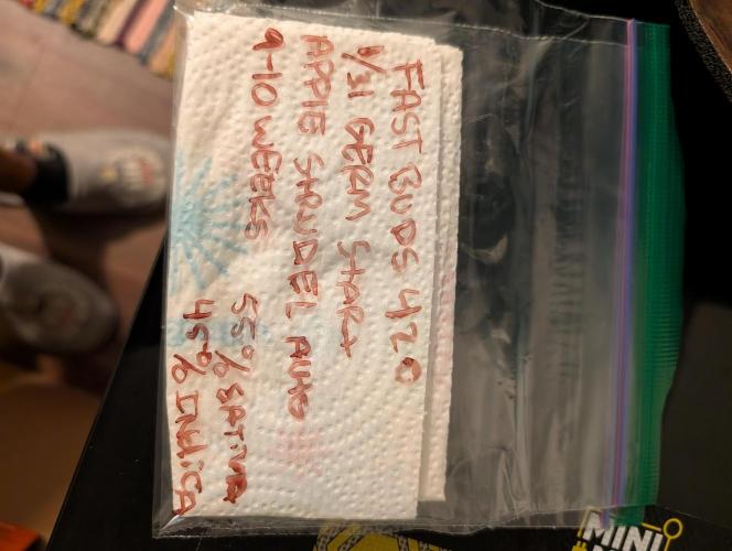 Fast Buds & Mephisto. Week 0 - 1/31