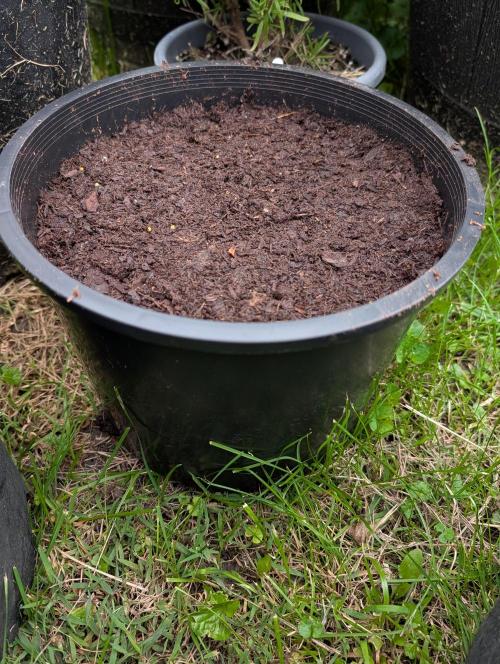 Outdoors PPP. Week 0