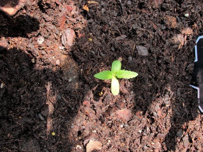 Outdoors PPP. Week 2