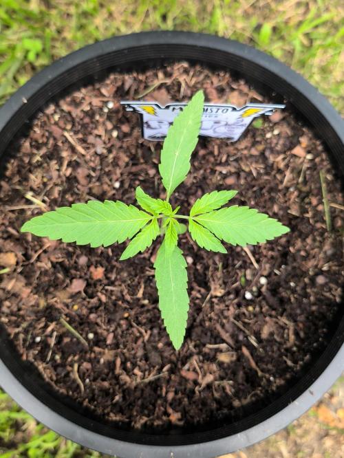 Outdoors PPP. Week 2