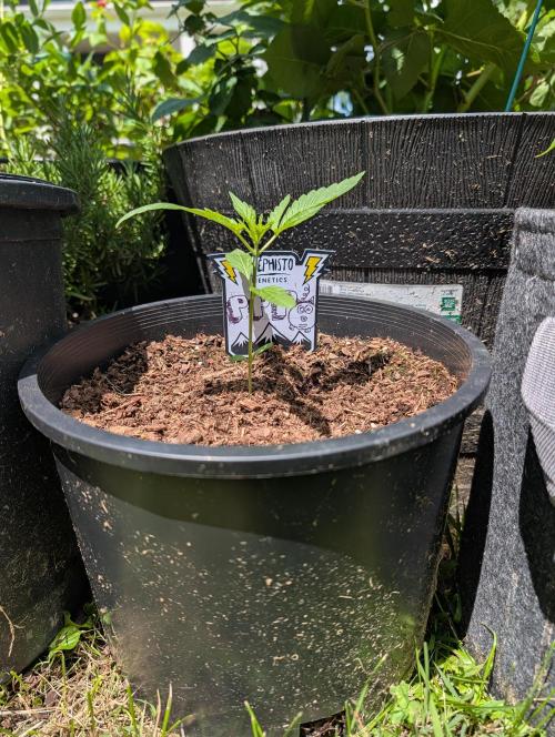 Outdoors PPP. Week 3