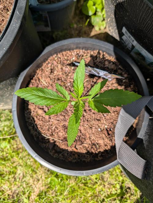 Outdoors PPP. Week 3