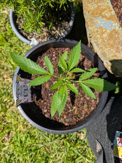 Outdoors PPP. Week 3
