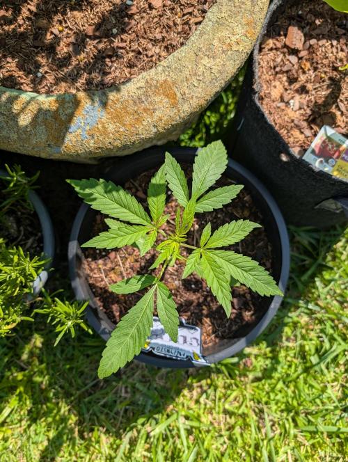Outdoors PPP. Week 3