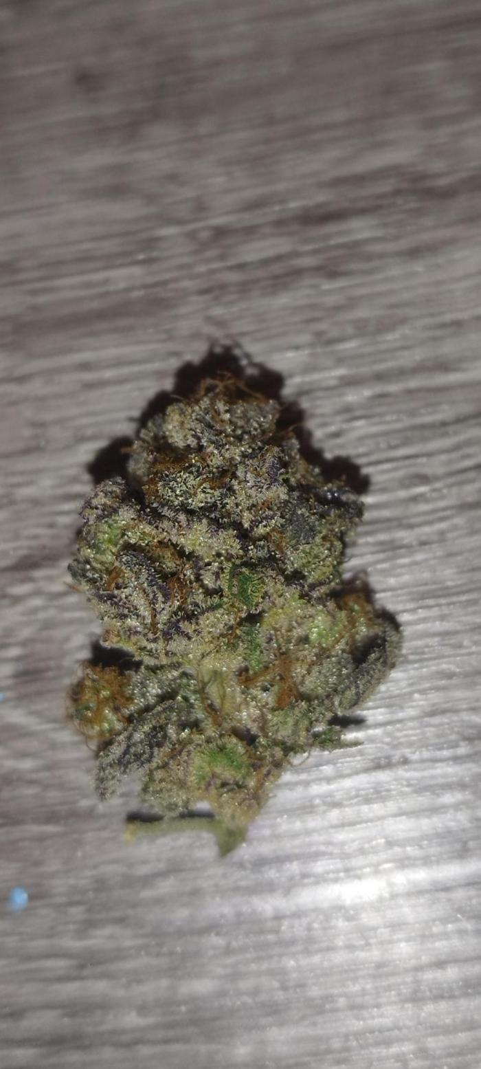 Perfect tree exotique genetix. Week 15