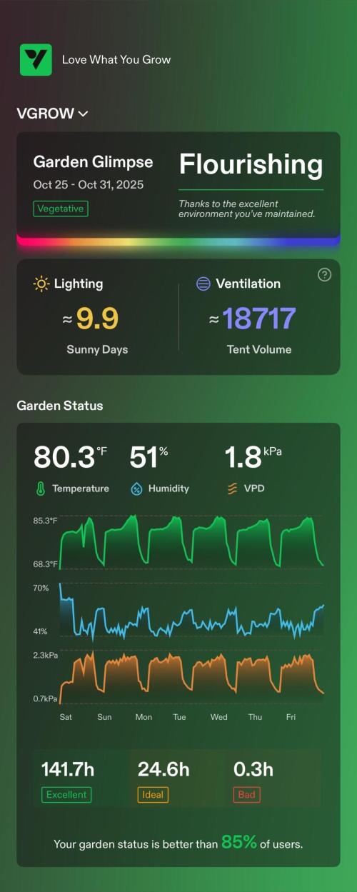 GRAND DADDY PURPLE AUTO. Week 2
