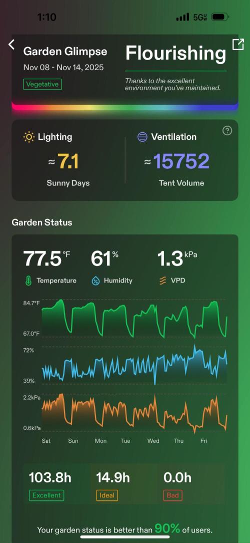 GRAND DADDY PURPLE AUTO. Week 4