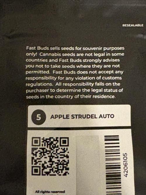 Apple Strudel Auto. Week 0