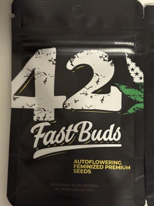 Apple Strudel Auto. Week 0