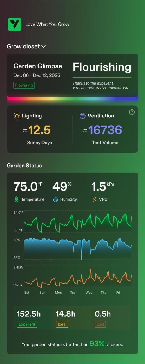 GRAND DADDY PURPLE AUTO. Week 8