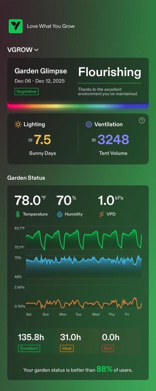 Apple Strudel Auto. Week 1