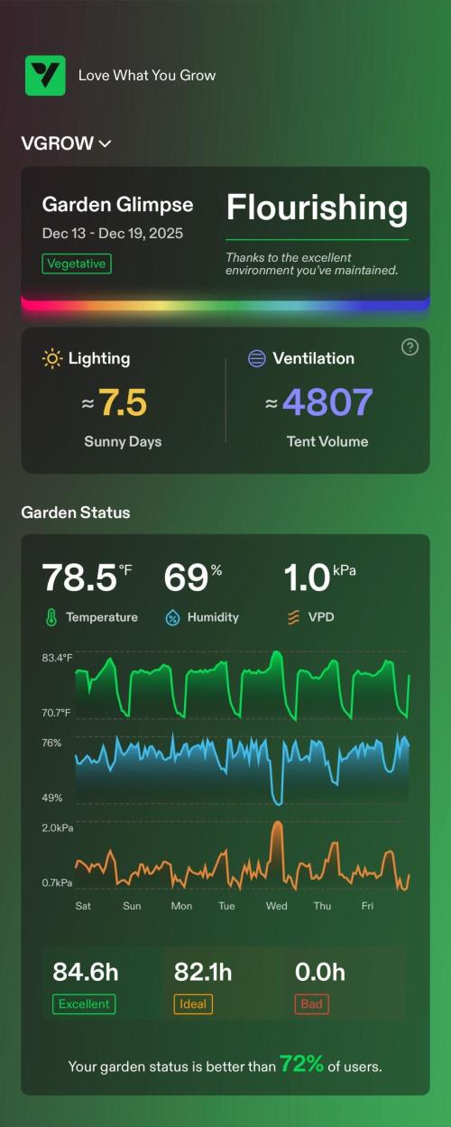 Apple Strudel Auto. Week 2