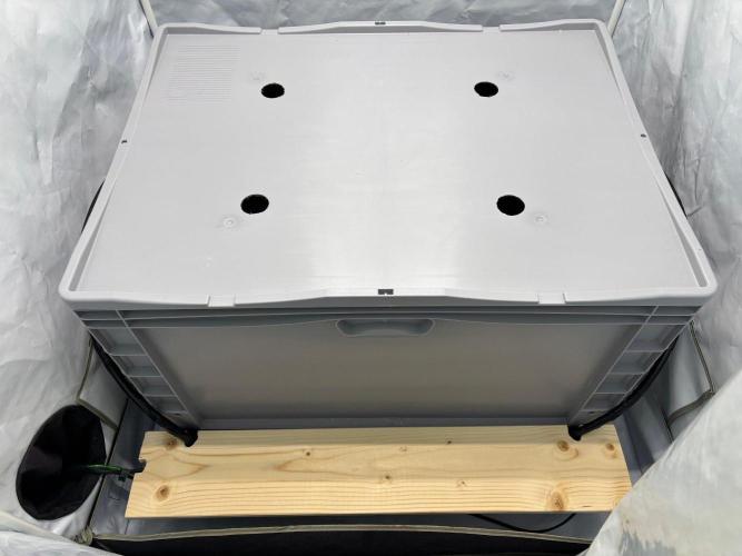 Gorilla Zkittlez in a big box. Week 1 - the nex improved system