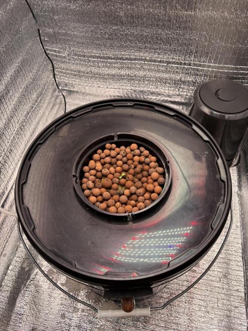 Punches and punches. Week 0 - 31.10