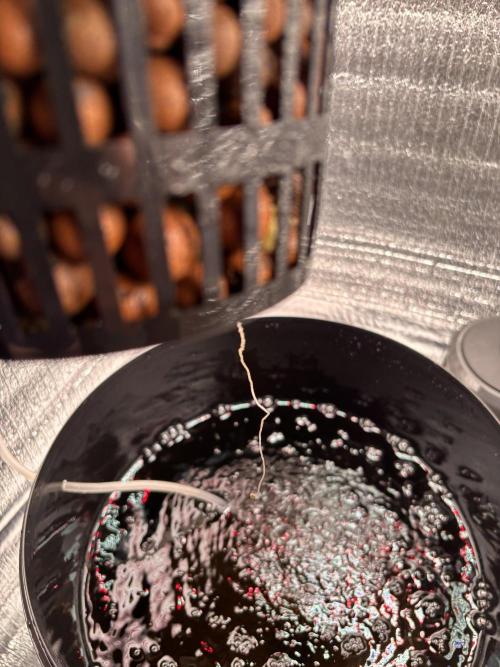 Punches and punches. Week 1