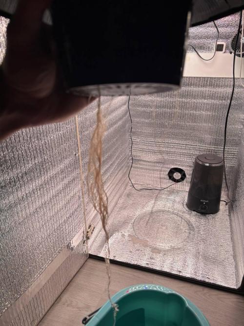 Punches and punches. Week 2 - 14/11