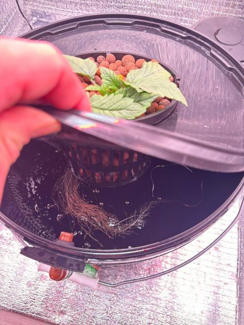 Punches and punches. Week 2 - 14/11