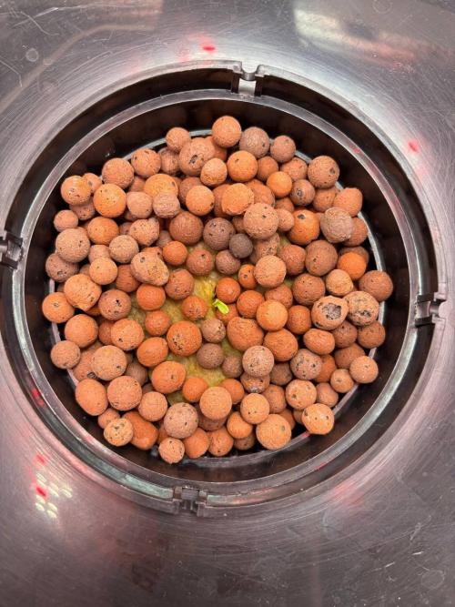 Auto Maria III. Week 1 - 12/11