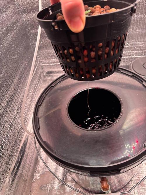 Auto Maria III. Week 1 - 16/11