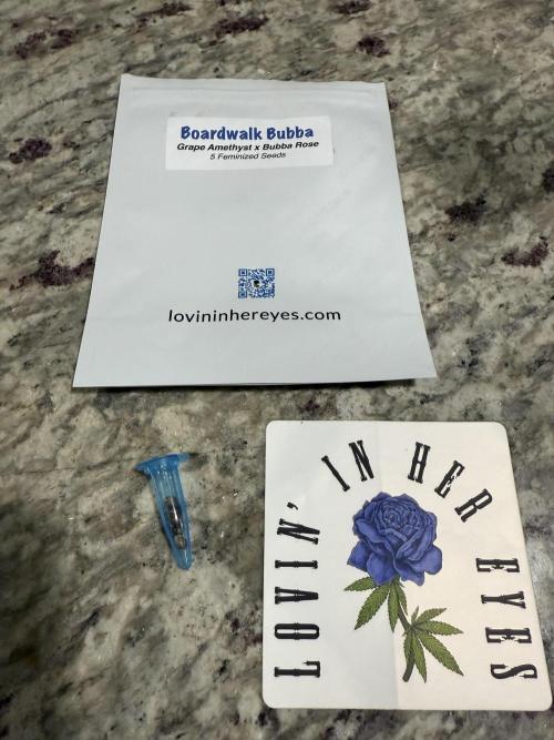 Boardwalk Bubba LIHE. Week 0