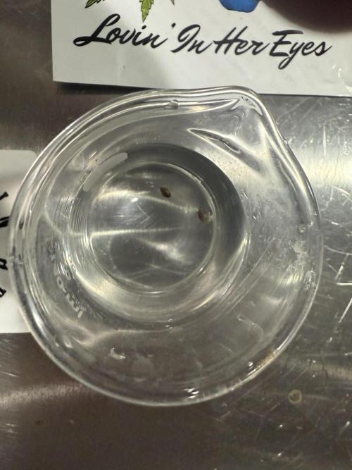 Boardwalk Bubba LIHE. Week 0