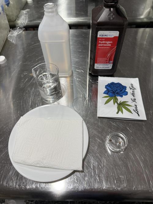 Boardwalk Bubba LIHE. Week 0