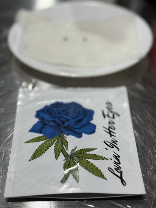 Boardwalk Bubba LIHE. Week 0