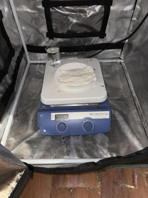 Boardwalk Bubba LIHE. Week 0