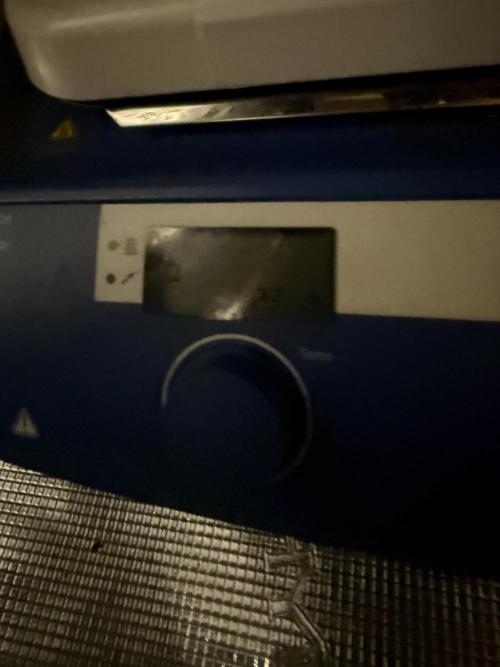 Boardwalk Bubba LIHE. Week 0