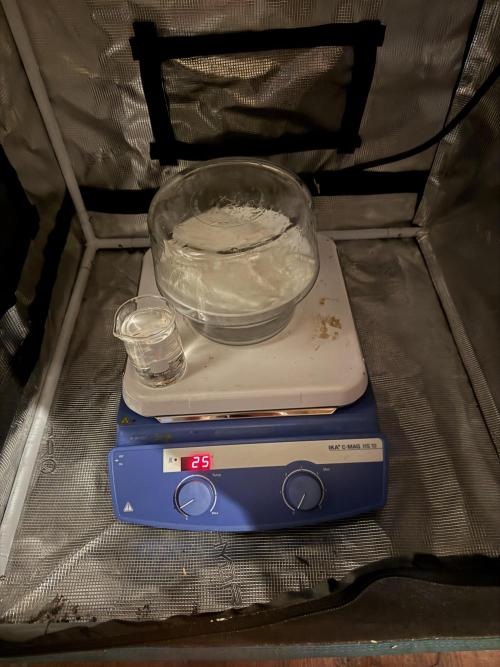 Boardwalk Bubba LIHE. Week 0 - 18hrs floating before the big one dropped to the bottom, moved to paper towel. 