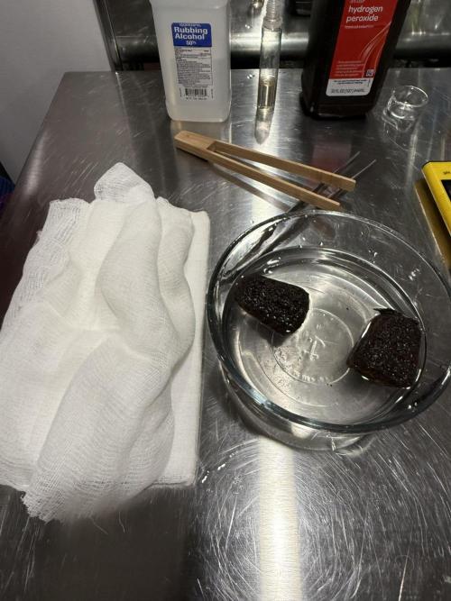 Boardwalk Bubba LIHE. Week 0