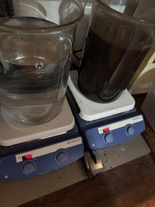 Boardwalk Bubba LIHE. Week 2