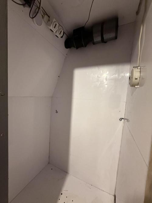 Boardwalk Bubba LIHE. Week 8