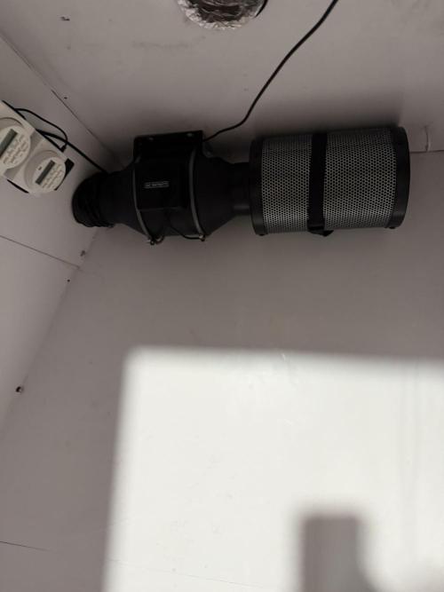 Boardwalk Bubba LIHE. Week 8