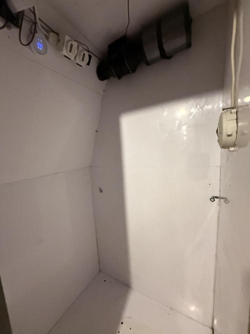 Boardwalk Bubba LIHE. Week 8