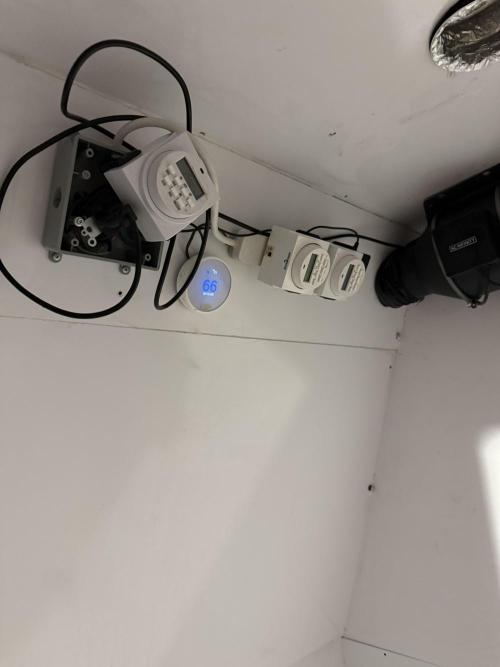 Boardwalk Bubba LIHE. Week 8