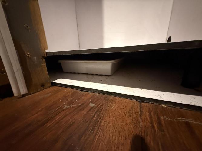 Boardwalk Bubba LIHE. Week 8