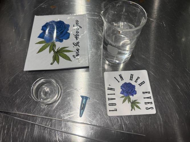 Boardwalk Bubba LIHE. Week 0 - Well the five seed packs that retail for usd are not what I was expecting. 