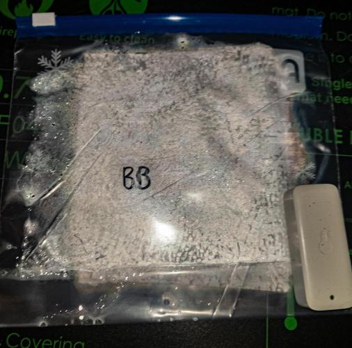 Seed Supplier Project. Week 0 - 1:10 ratio
3% Hydrogen peroxide:ROW