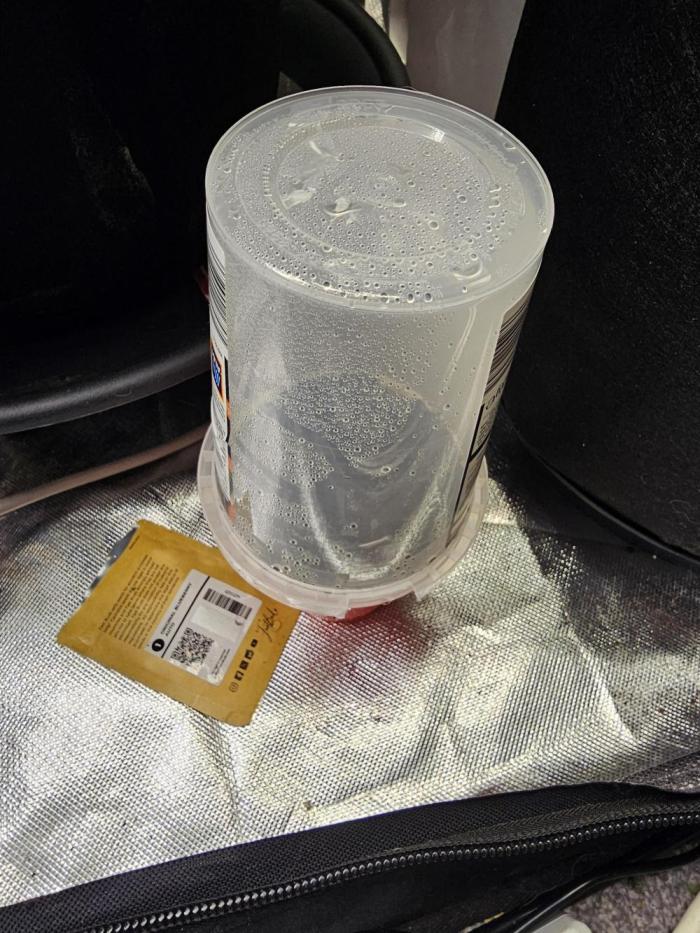 Original blueberry. Week 0