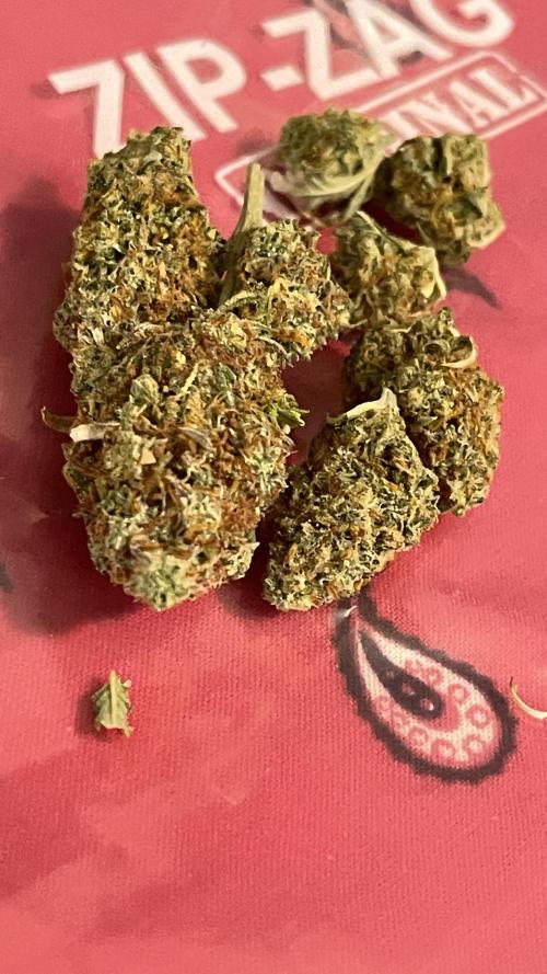 Tripz 420. Week 14 - Shot of the wedding cheesecake nugget bright, orange, and colorful 