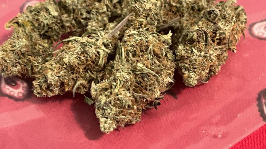 Tripz 420. Week 14 - You can smell the gassiness and the yield was really great