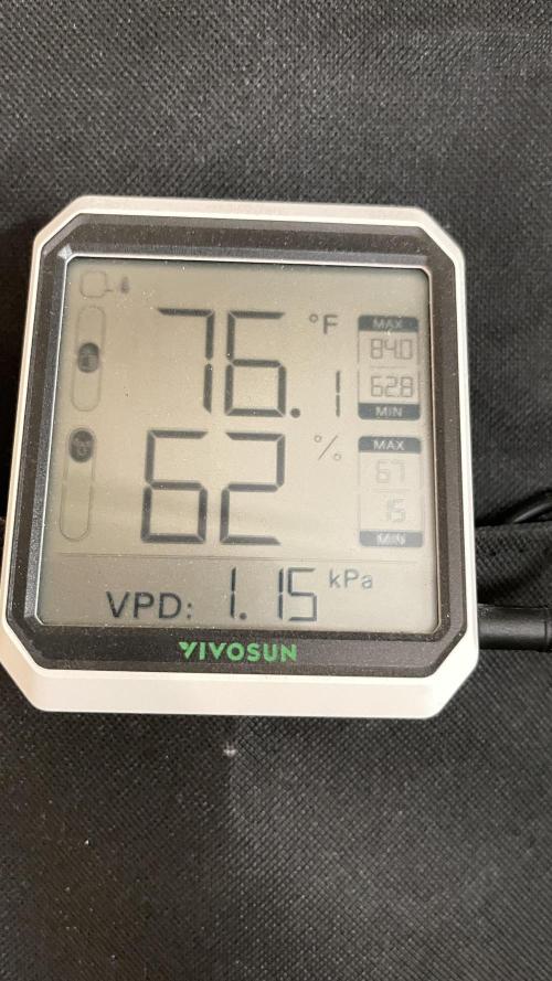 Fastbuds #2. Week 4 - This is the range I try to keep I grow in