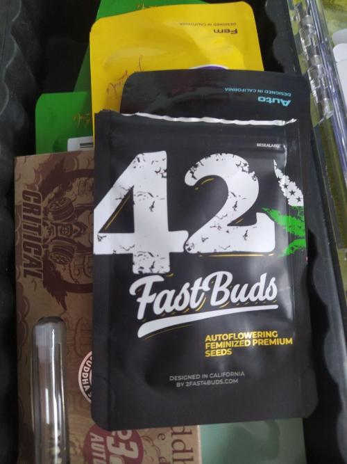 DWC Fast Buds Banana Purple Punch Auto. Week 0