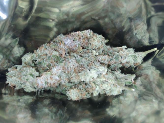 DWC Fast Buds Banana Purple Punch Auto. Week 14