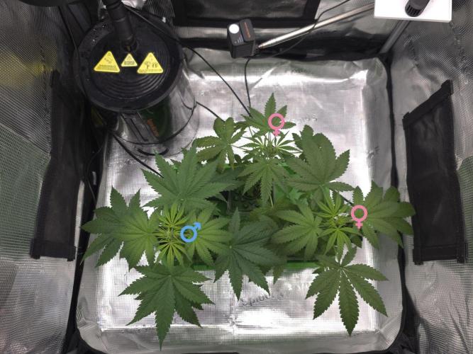 Shit. Week 4