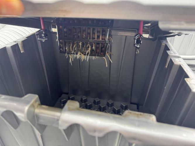 Alien Aeroponics with Robinhood Seeds. Week 4